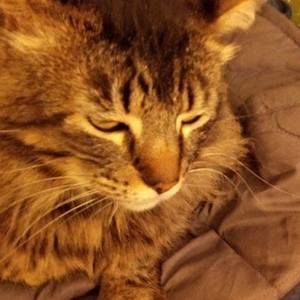 Meet your Posher, Marta